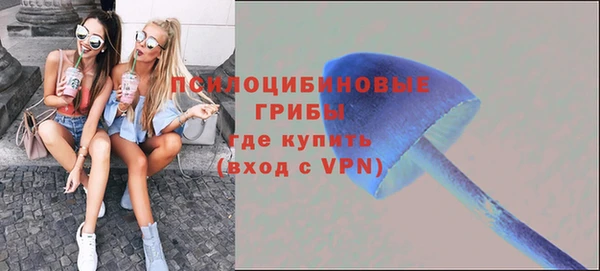 хмурый Пестово