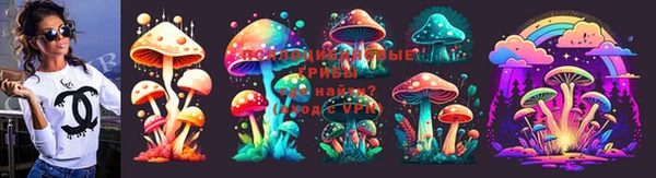 прущий лед Пересвет