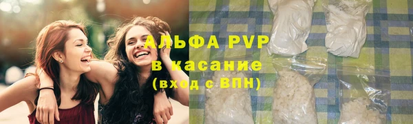хмурый Пестово