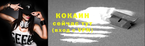 прущий лед Пересвет