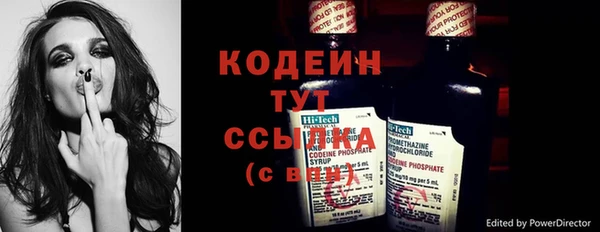 прущий лед Пересвет
