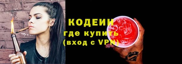 хмурый Пестово