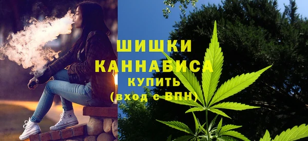 прущий лед Пересвет