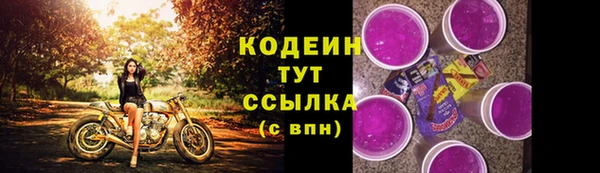 хмурый Пестово