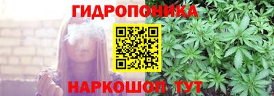 спиды Гусев