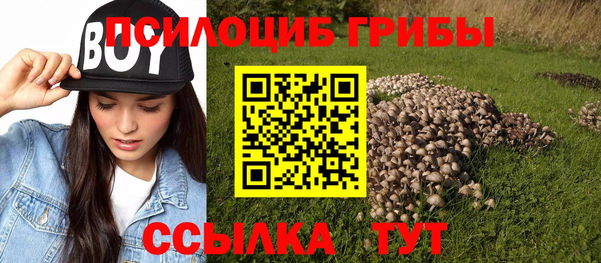 Галлюциногенные грибы мицелий Зеленодольск